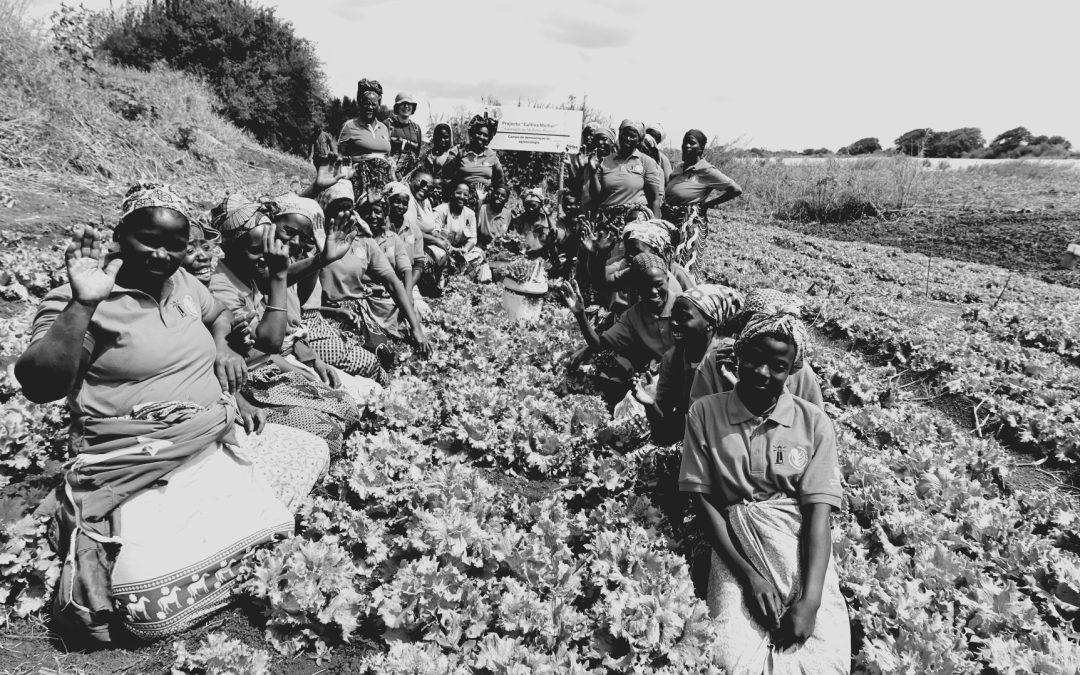 Miksi yhteisvauraus on Saharan eteläpuolisessa Afrikassa tärkeää?